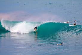 Image result for surfing bali